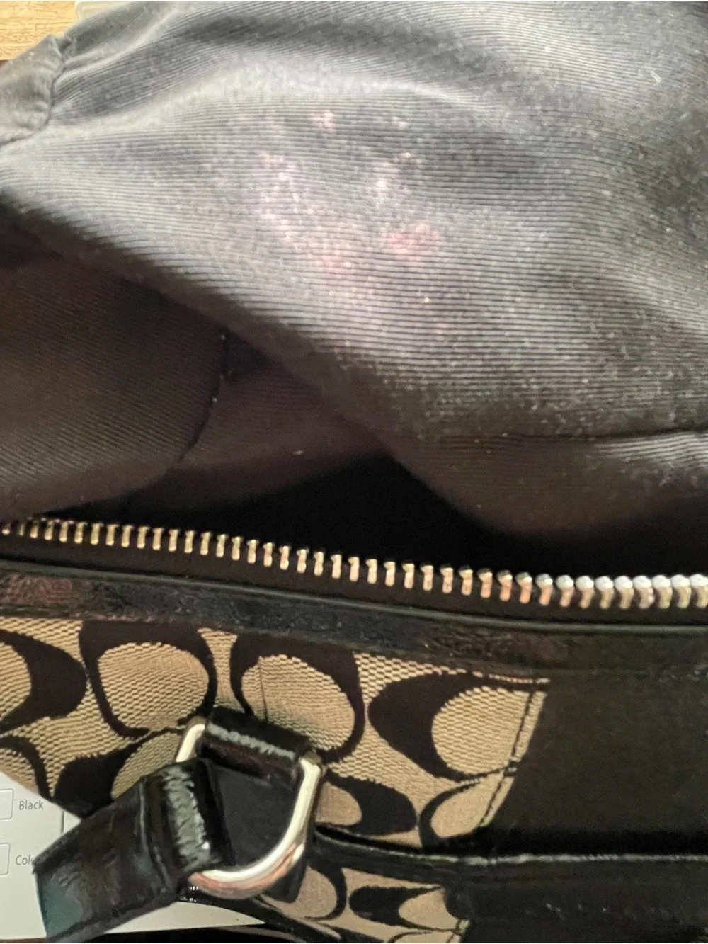 Coach signature stripe